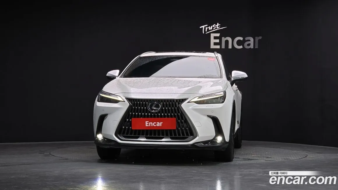 Lexus NX 2024 из KR, фото 3