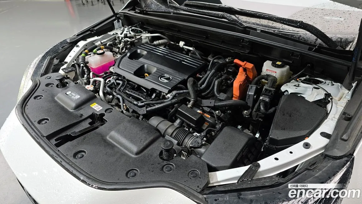 Lexus NX 2024 из KR, фото 6