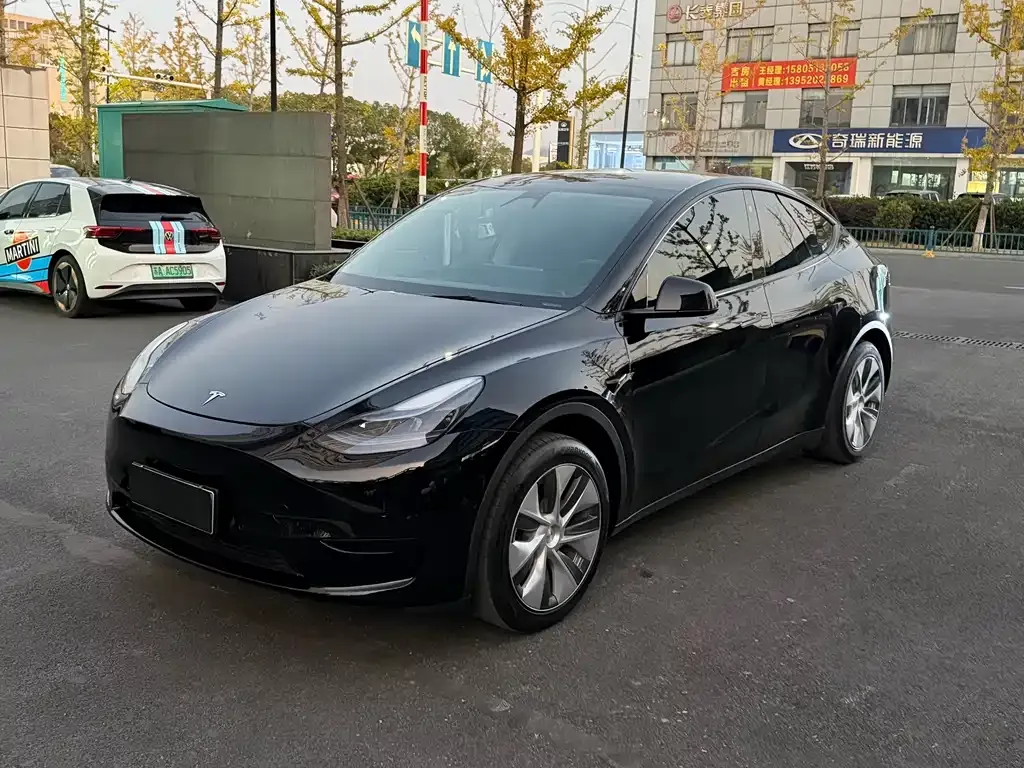 Tesla Model Y — фото 1