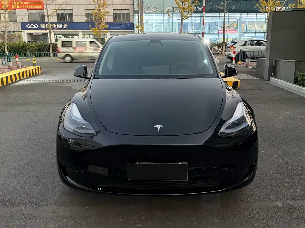 Tesla Model Y — фото 2