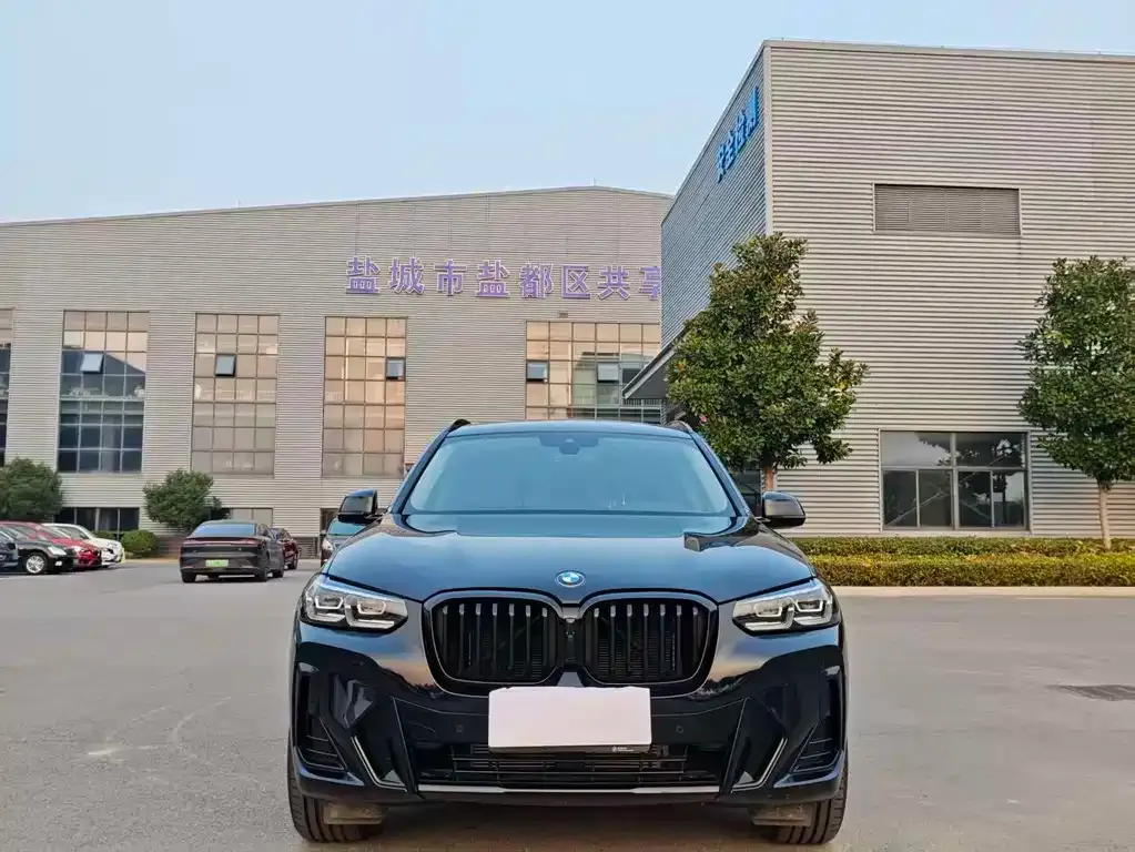 BMW X3 2024 из CN, фото 2
