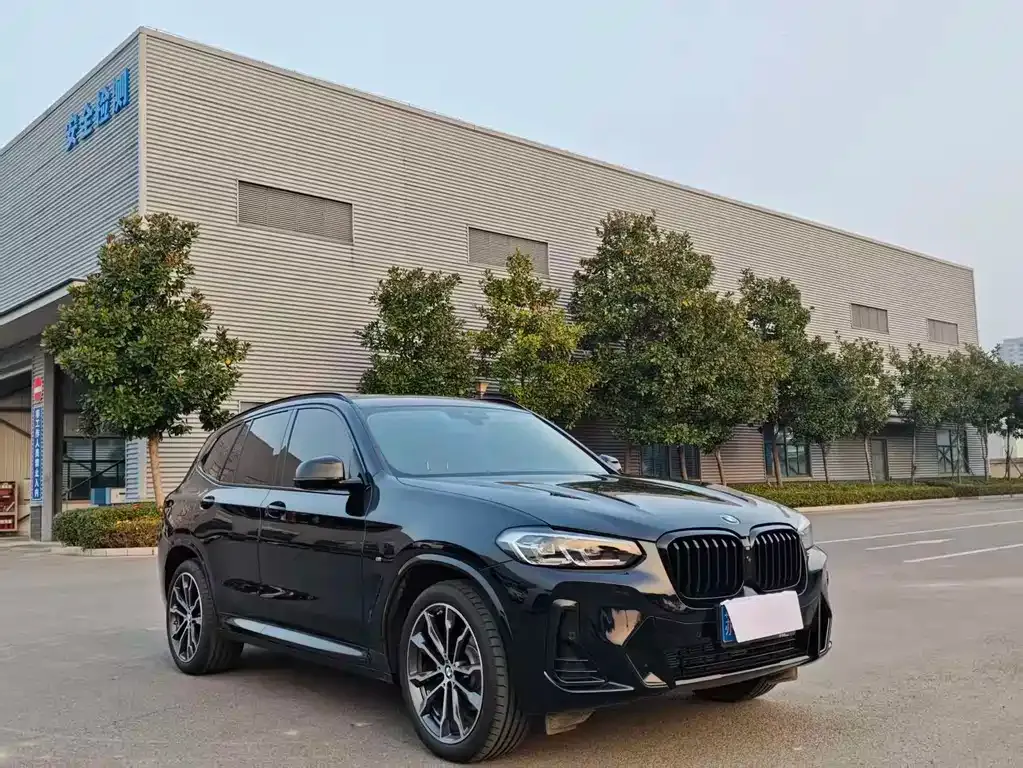 BMW X3 2024 из CN, фото 3