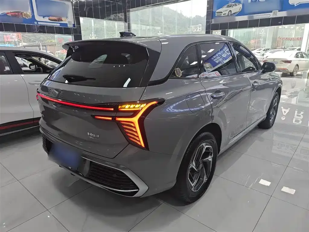 Hongqi HS3 2023 из CN, фото 7