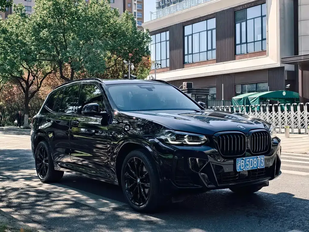 BMW X3 2022 из CN, фото 3