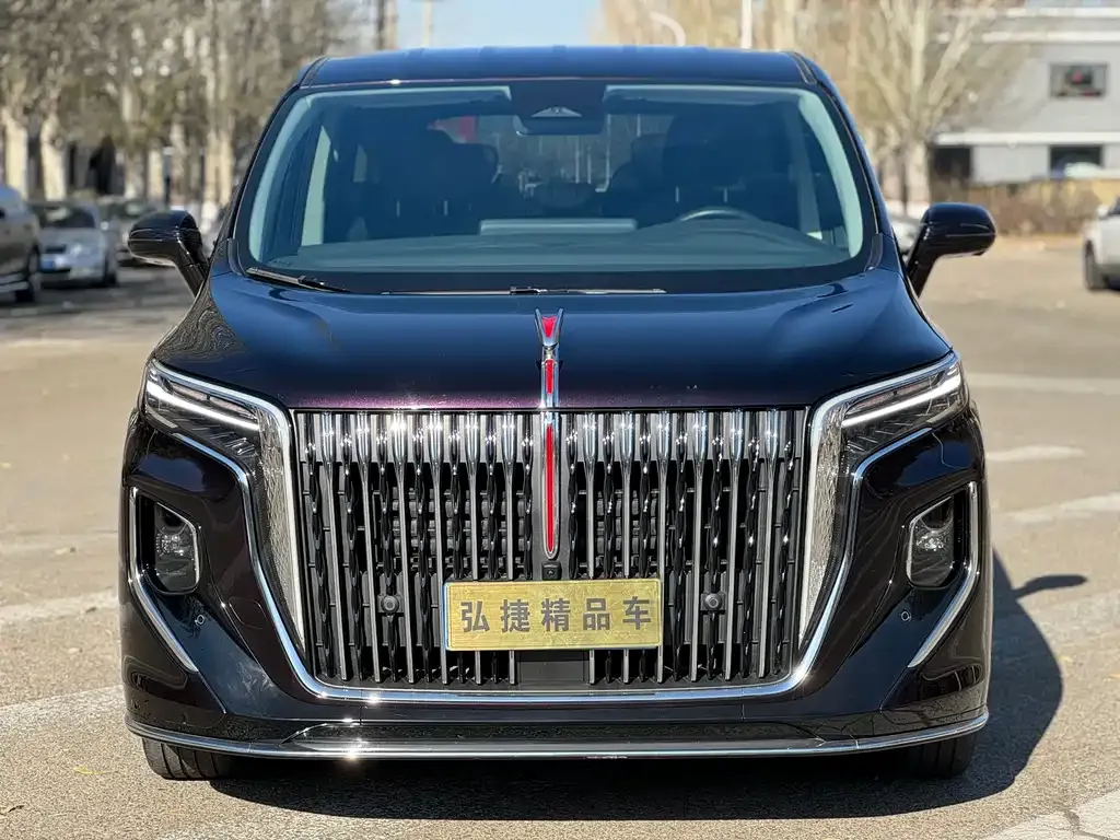 Hongqi HQ9 — фото 2
