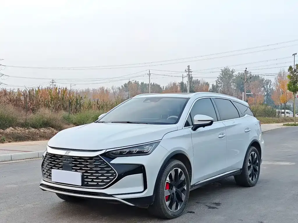 BYD Tang New Energy — фото 1