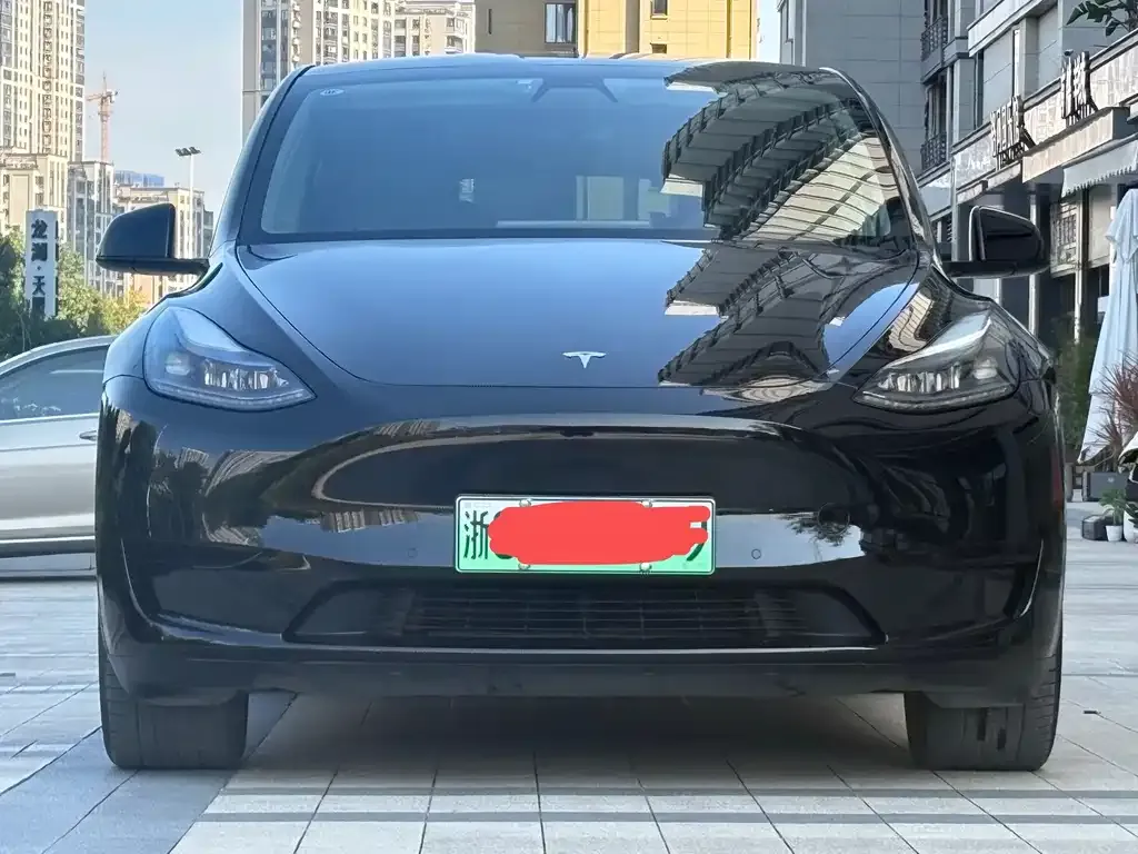 Tesla Model Y 2023 из CN, фото 2