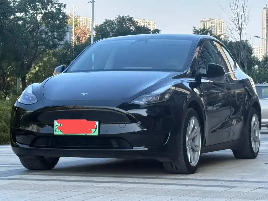 Tesla Model Y 2023 из CN, фото 3