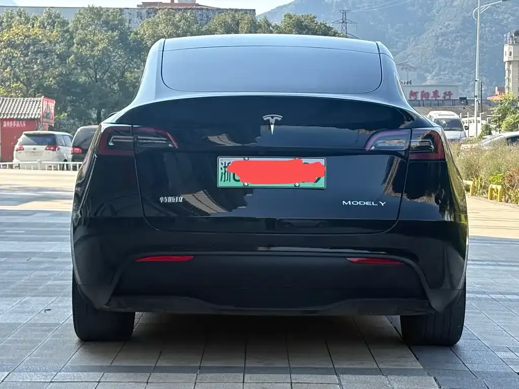 Tesla Model Y 2023 из CN, фото 8