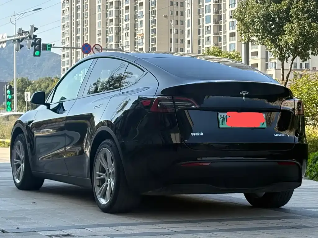 Tesla Model Y 2023 из CN, фото 9