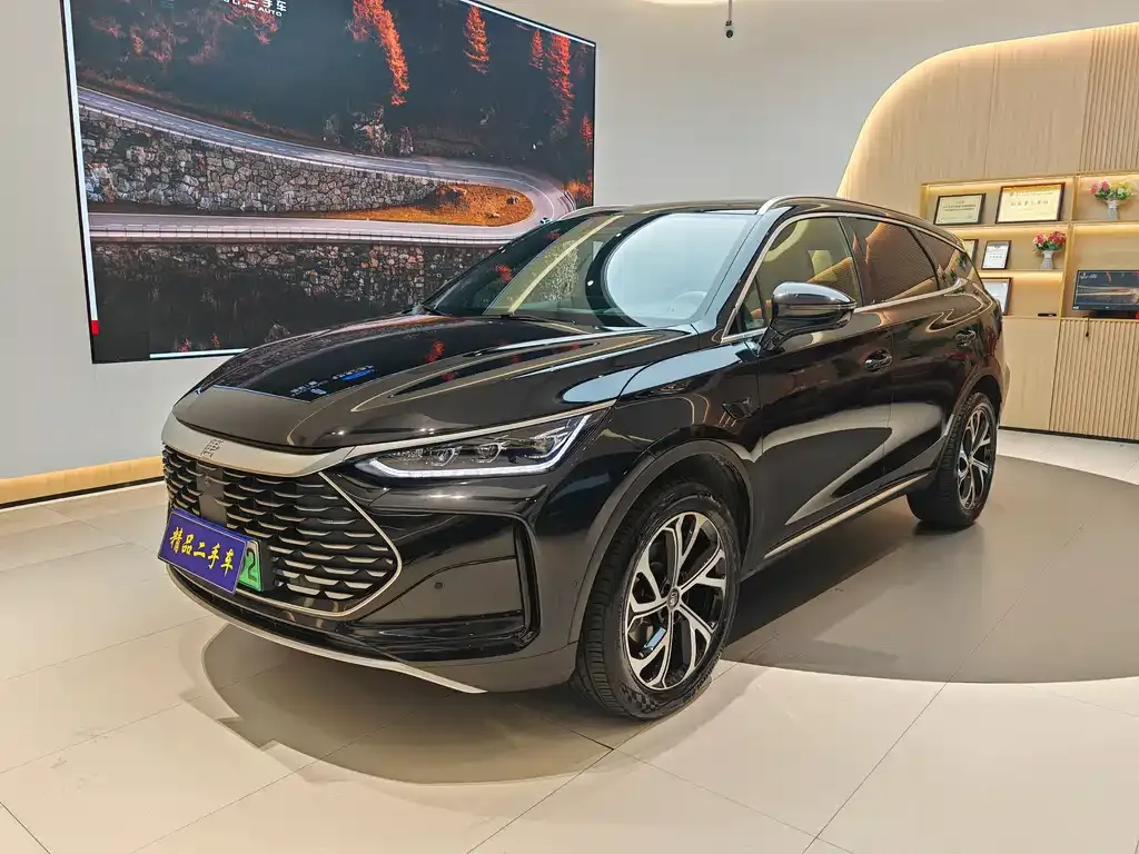 BYD Tang New Energy — фото 1