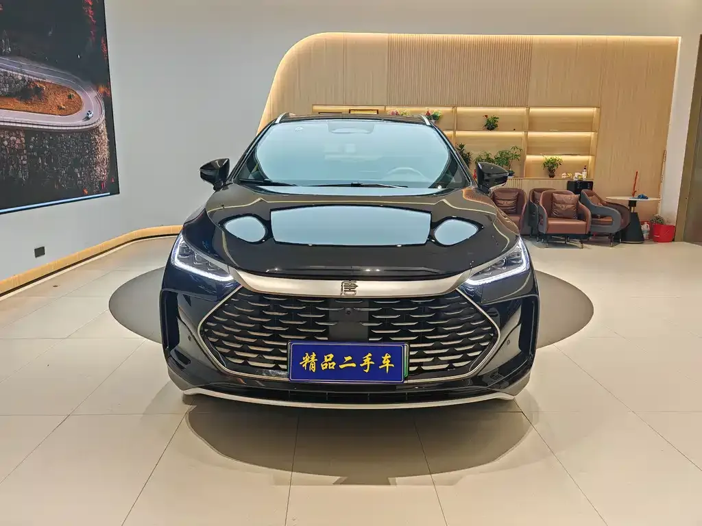 BYD Tang New Energy — фото 2