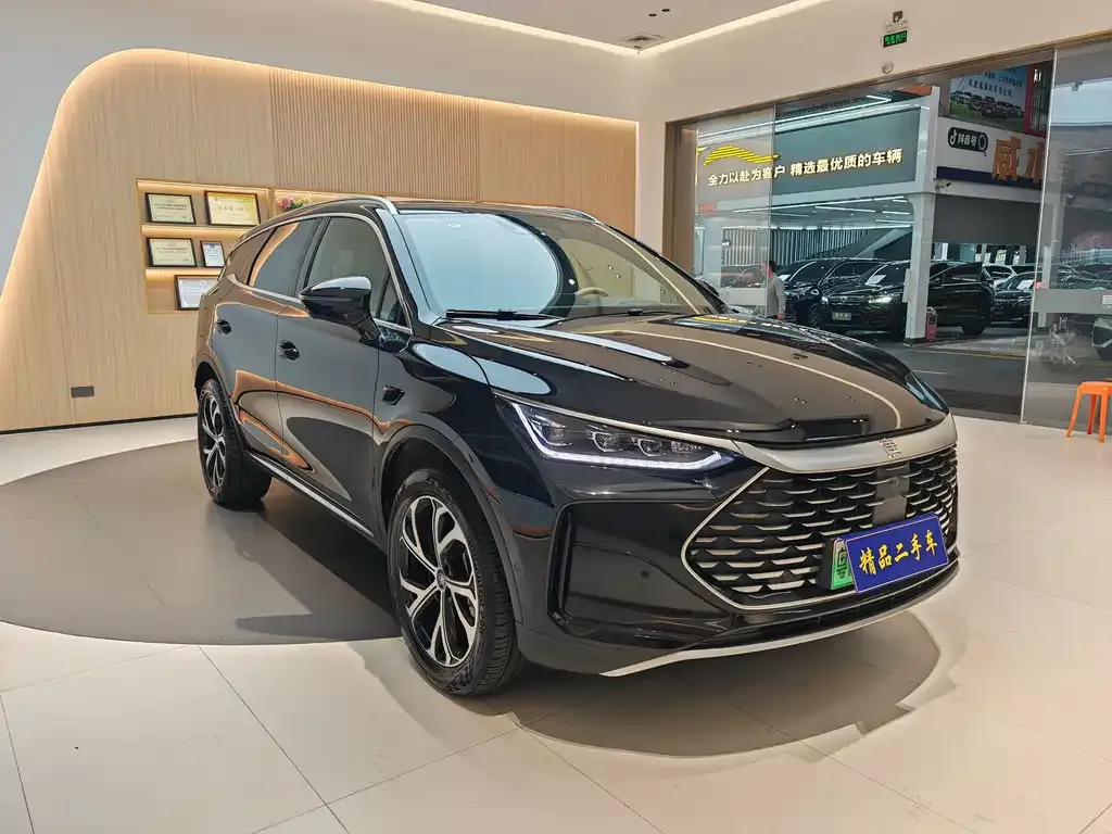 BYD Tang New Energy — фото 3