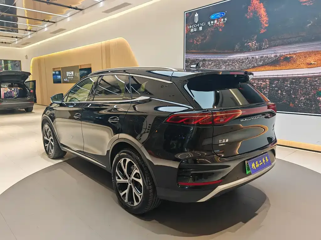 BYD Tang New Energy — фото 4