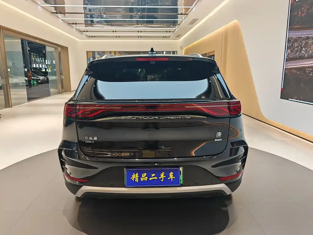 BYD Tang New Energy — фото 6