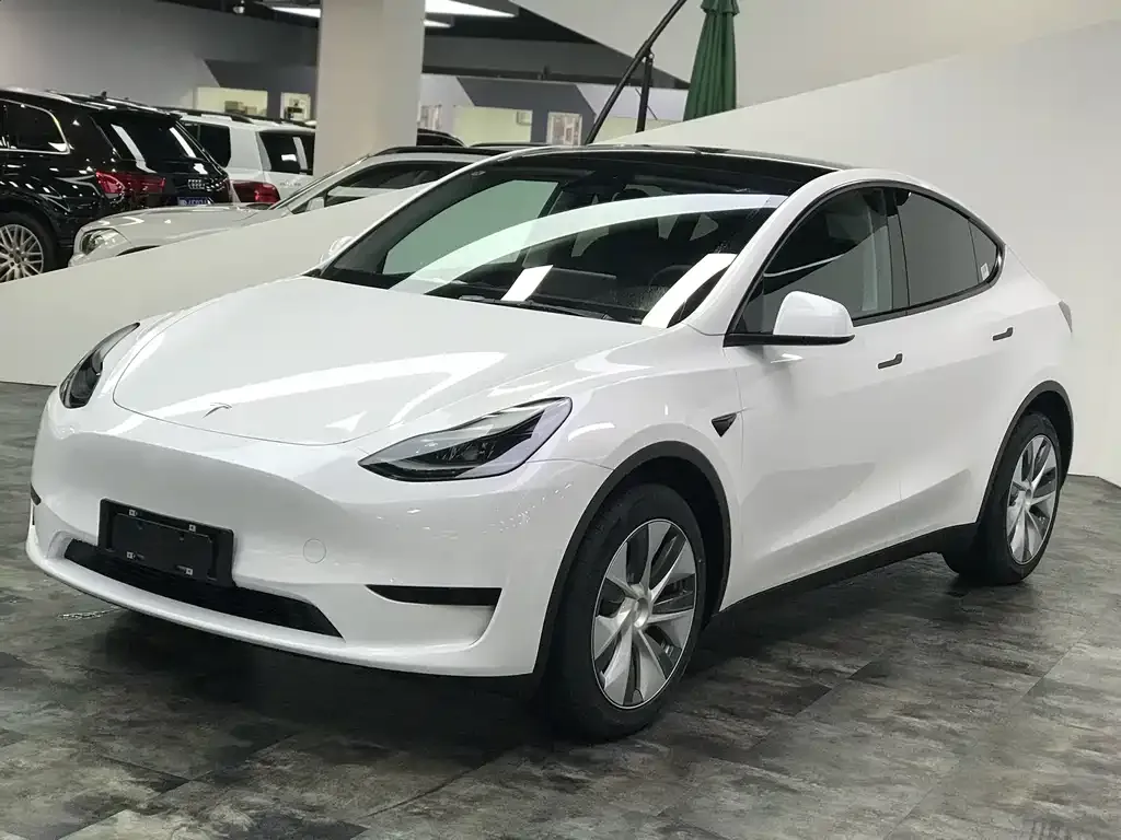 Tesla Model Y 2022 из CN, фото 1