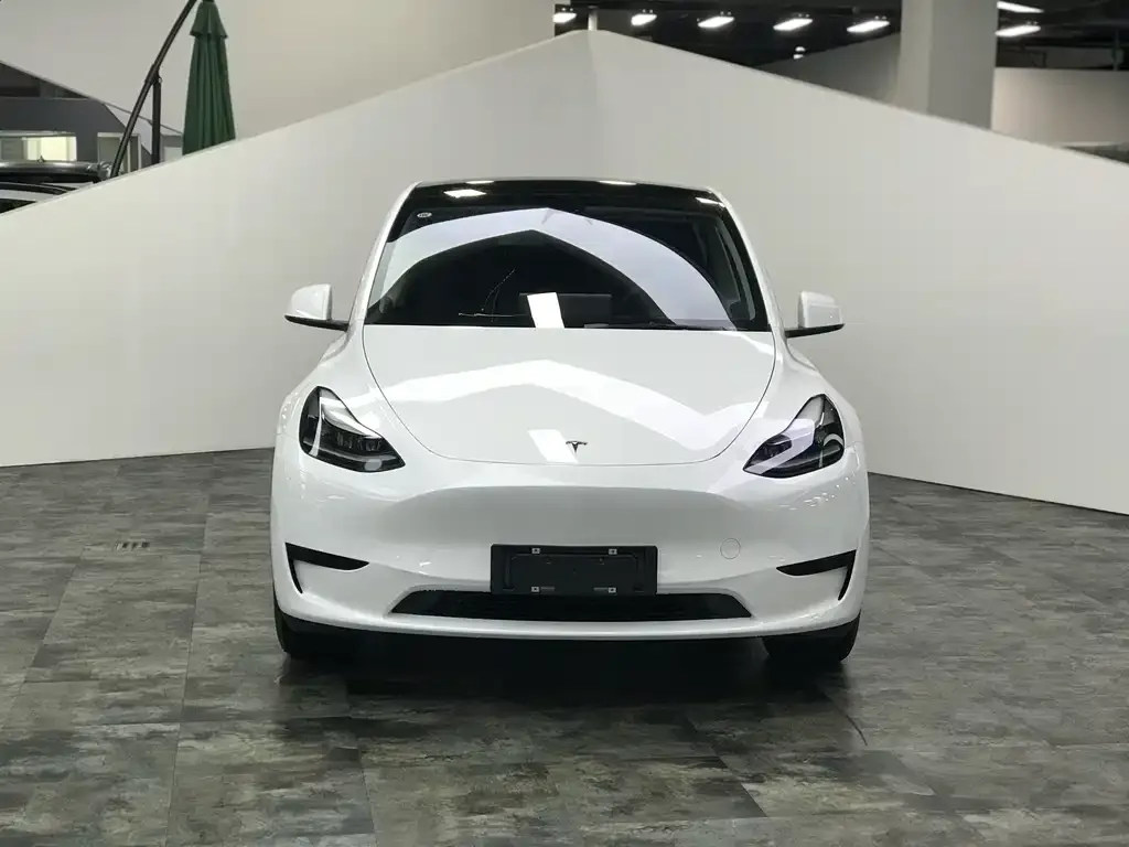 Tesla Model Y 2022 из CN, фото 3