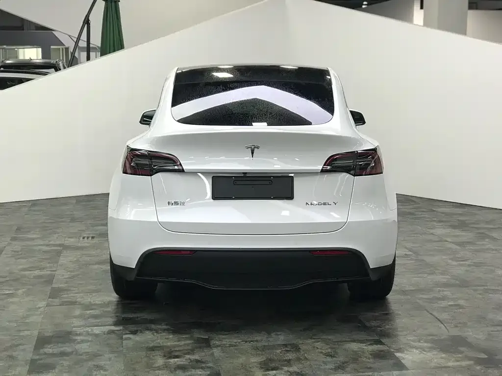 Tesla Model Y 2022 из CN, фото 4