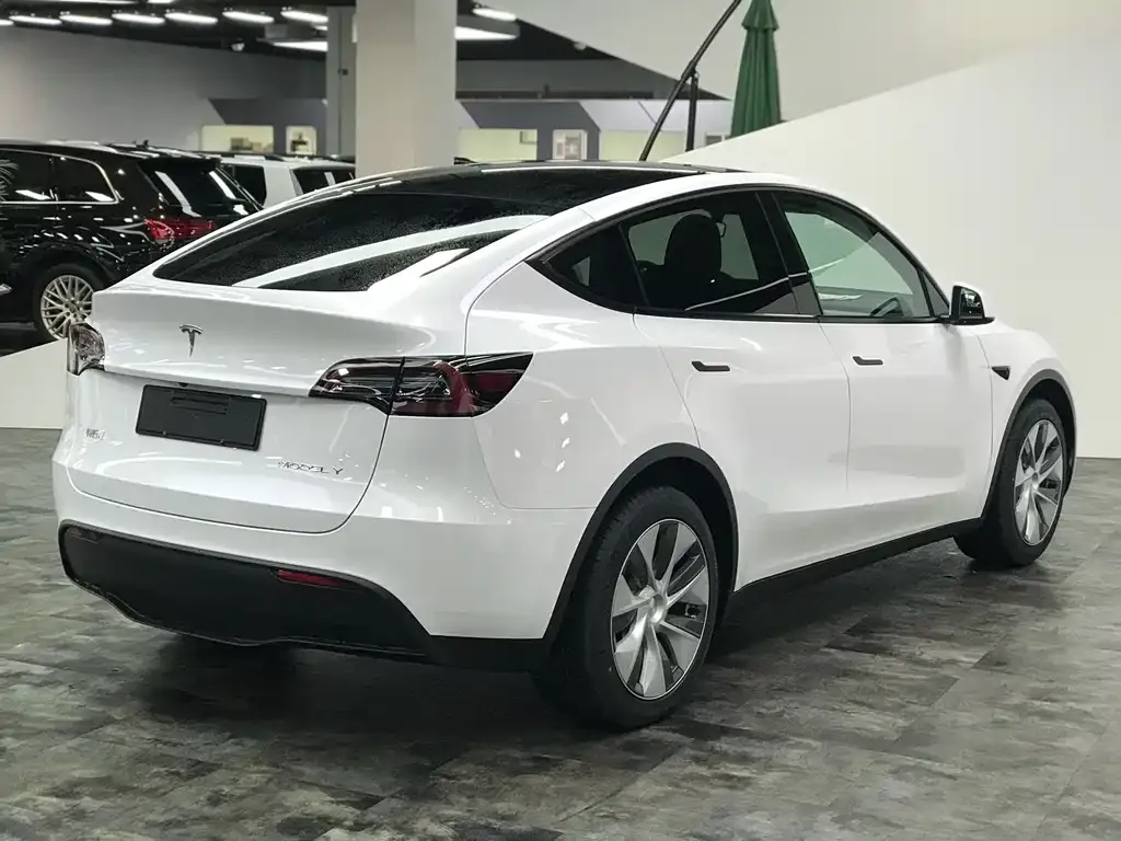 Tesla Model Y 2022 из CN, фото 5