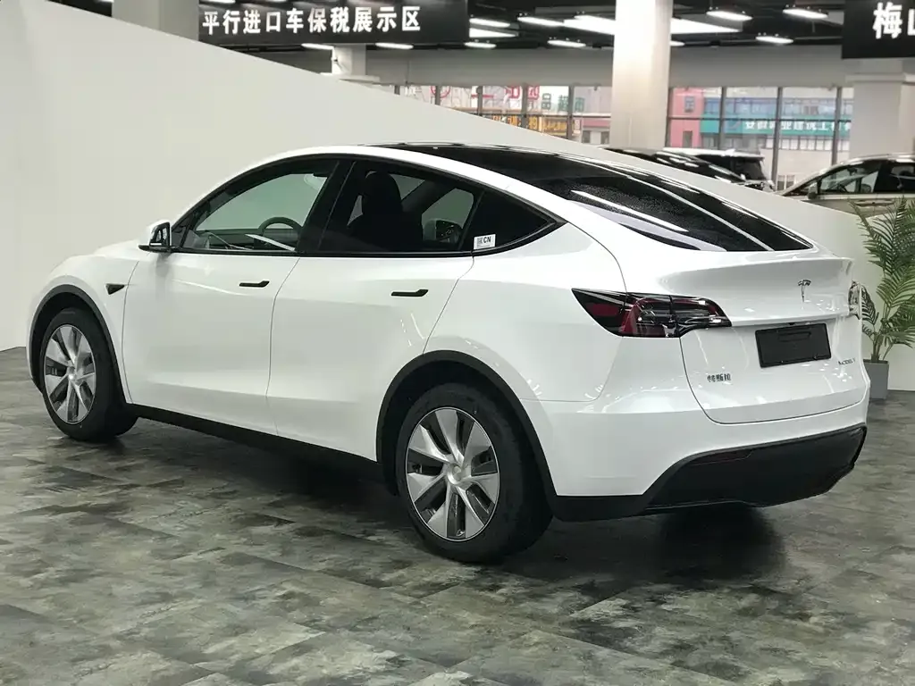 Tesla Model Y 2022 из CN, фото 6
