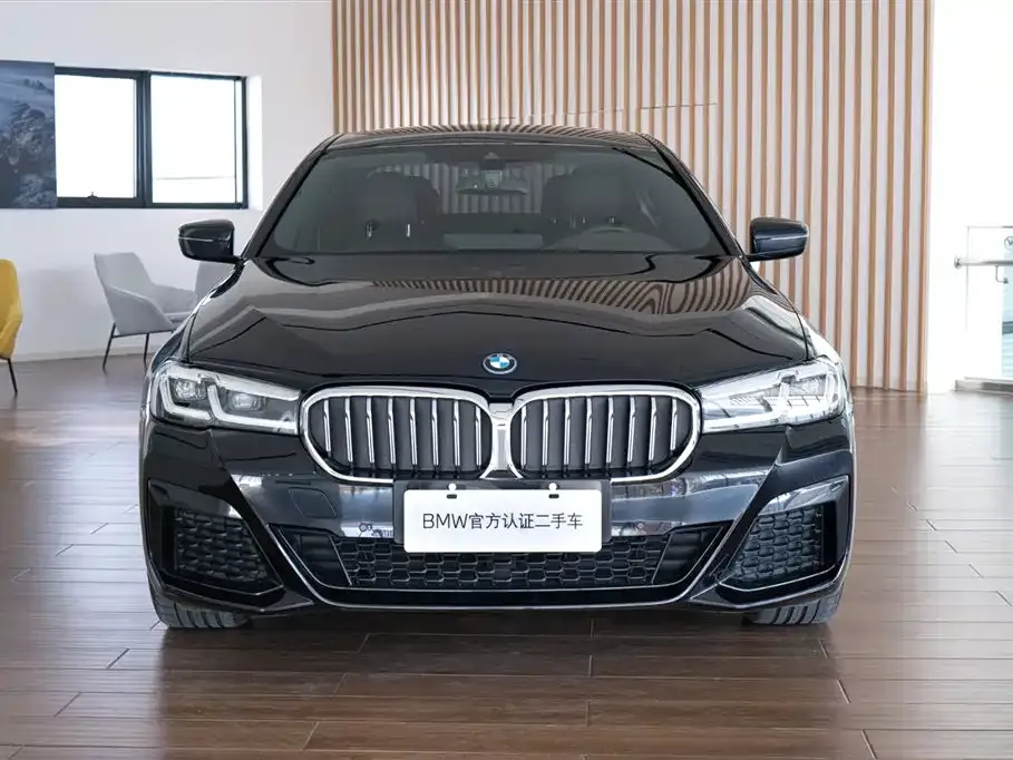 BMW 5 Series New Energy — фото 2