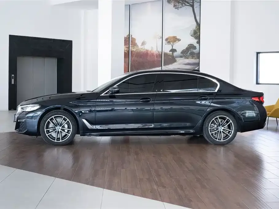 BMW 5 Series New Energy — фото 4