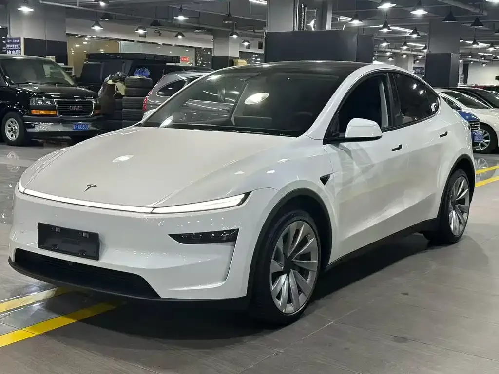 Tesla Model Y 2025 из CN, фото 1