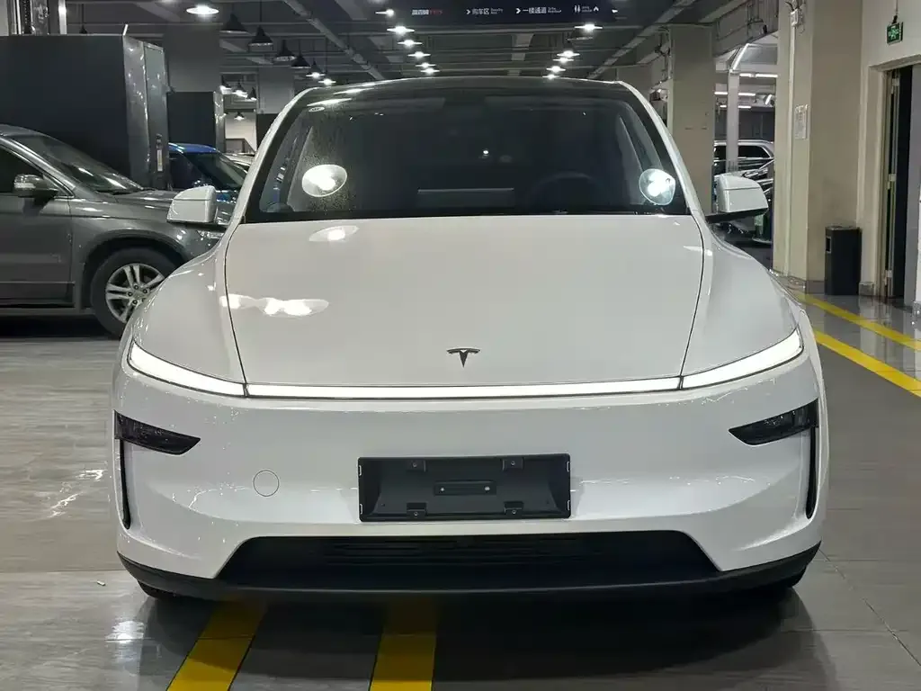 Tesla Model Y 2025 из CN, фото 2
