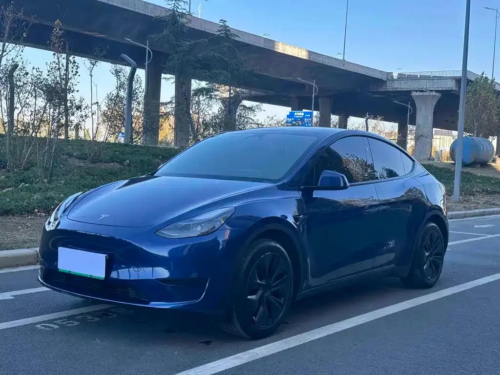 Tesla Model Y — фото 1