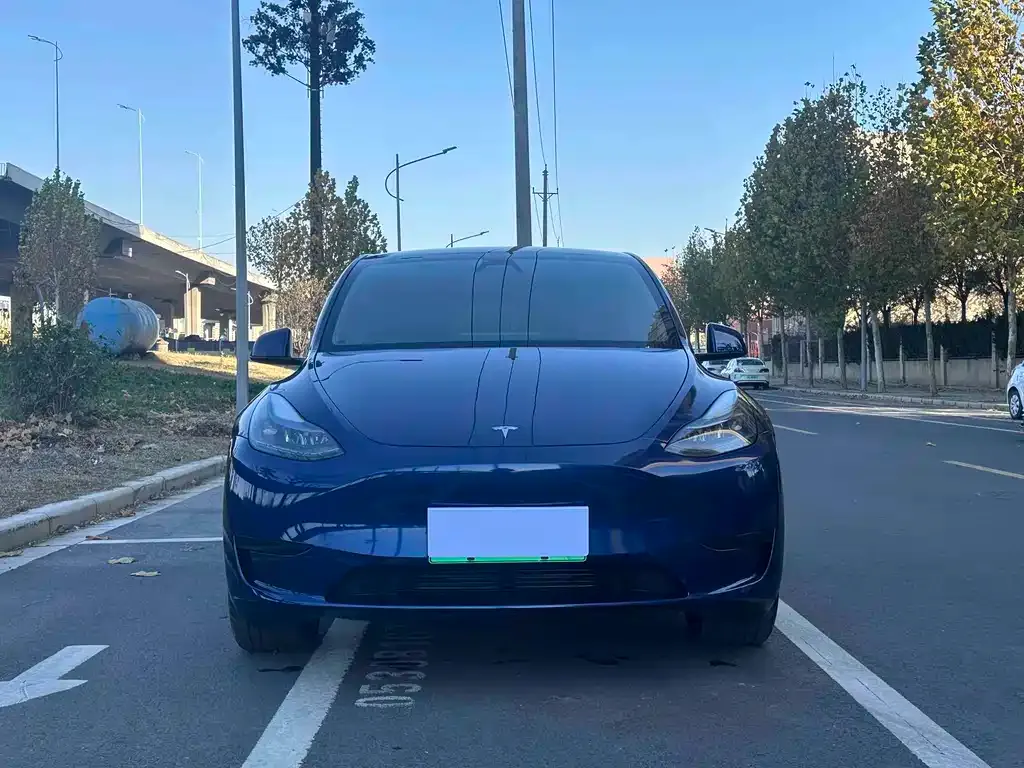 Tesla Model Y — фото 2