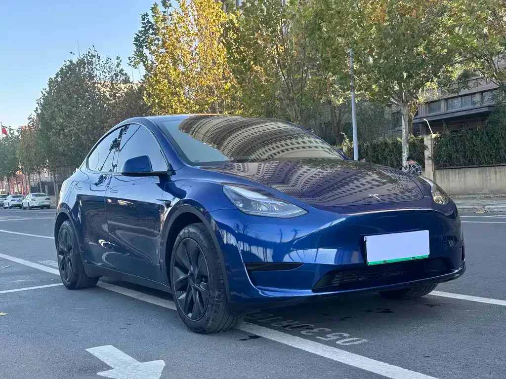 Tesla Model Y — фото 3