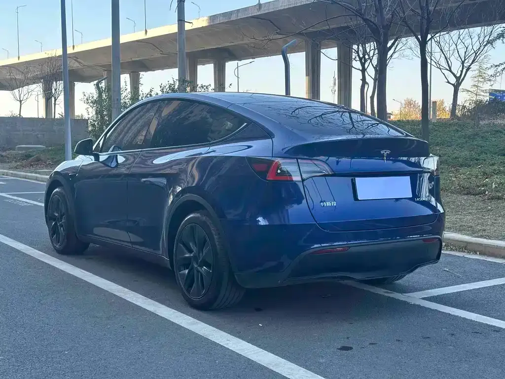 Tesla Model Y — фото 8