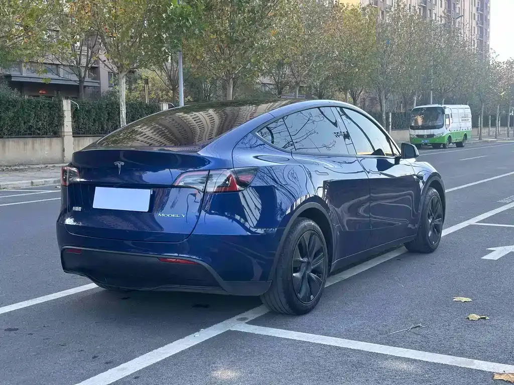 Tesla Model Y — фото 9