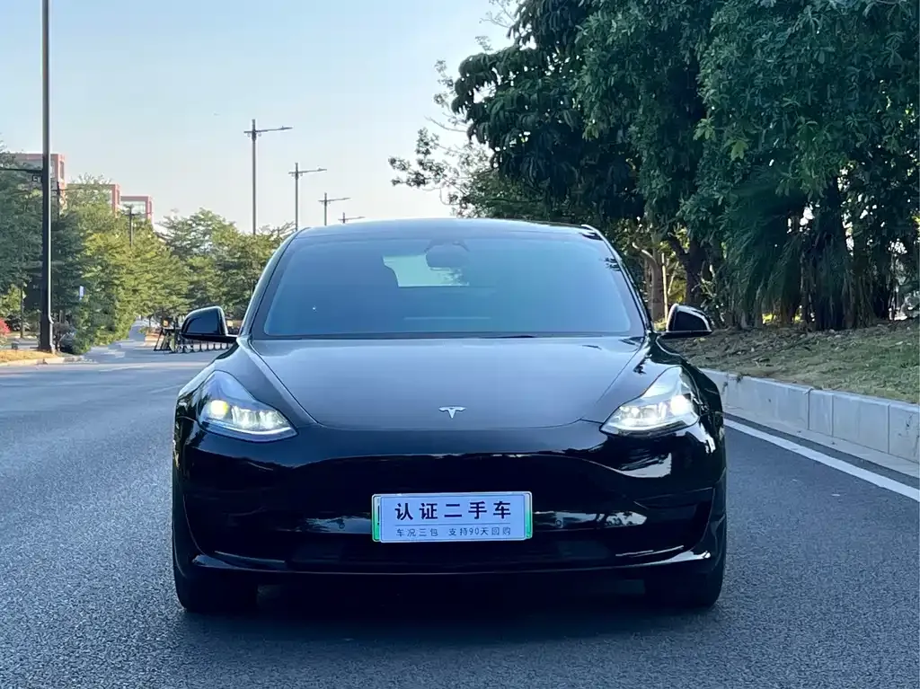 Tesla Model 3 — фото 2