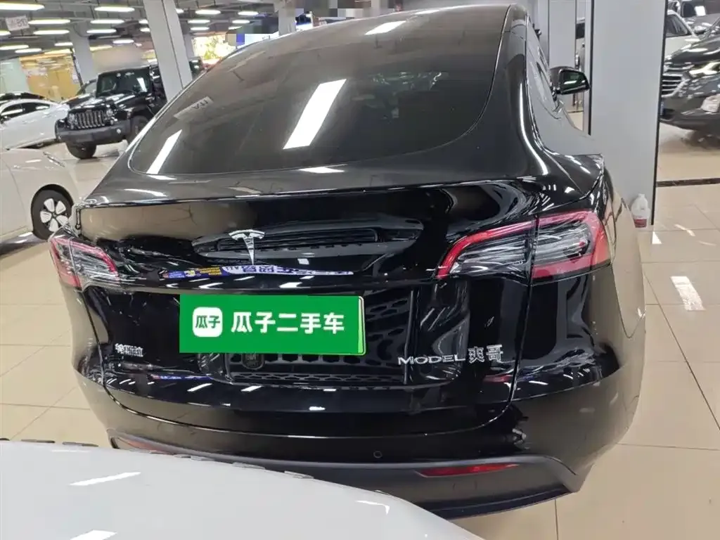 Tesla Model Y 2024 из CN, фото 6
