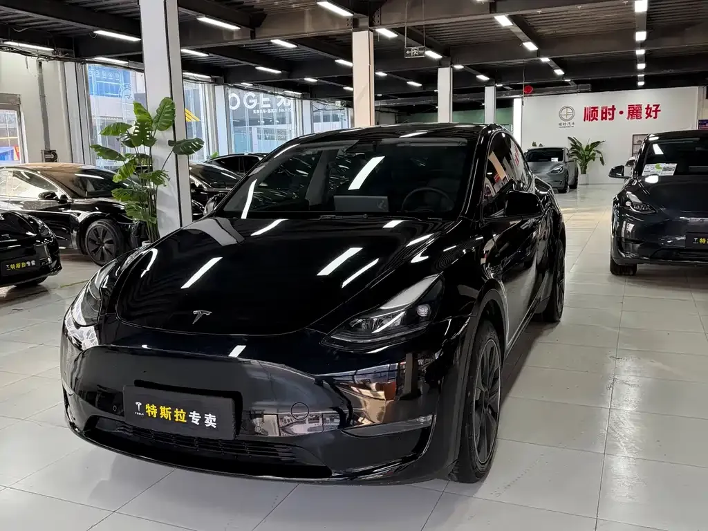 Tesla Model Y — фото 1