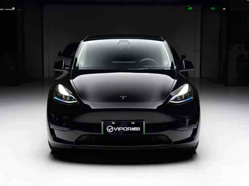 Tesla Model Y — фото 2