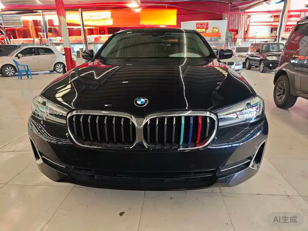 BMW 5 Series 2023 из CN, фото 2