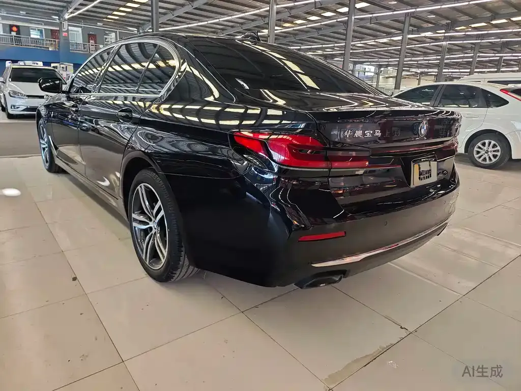 BMW 5 Series 2023 из CN, фото 7