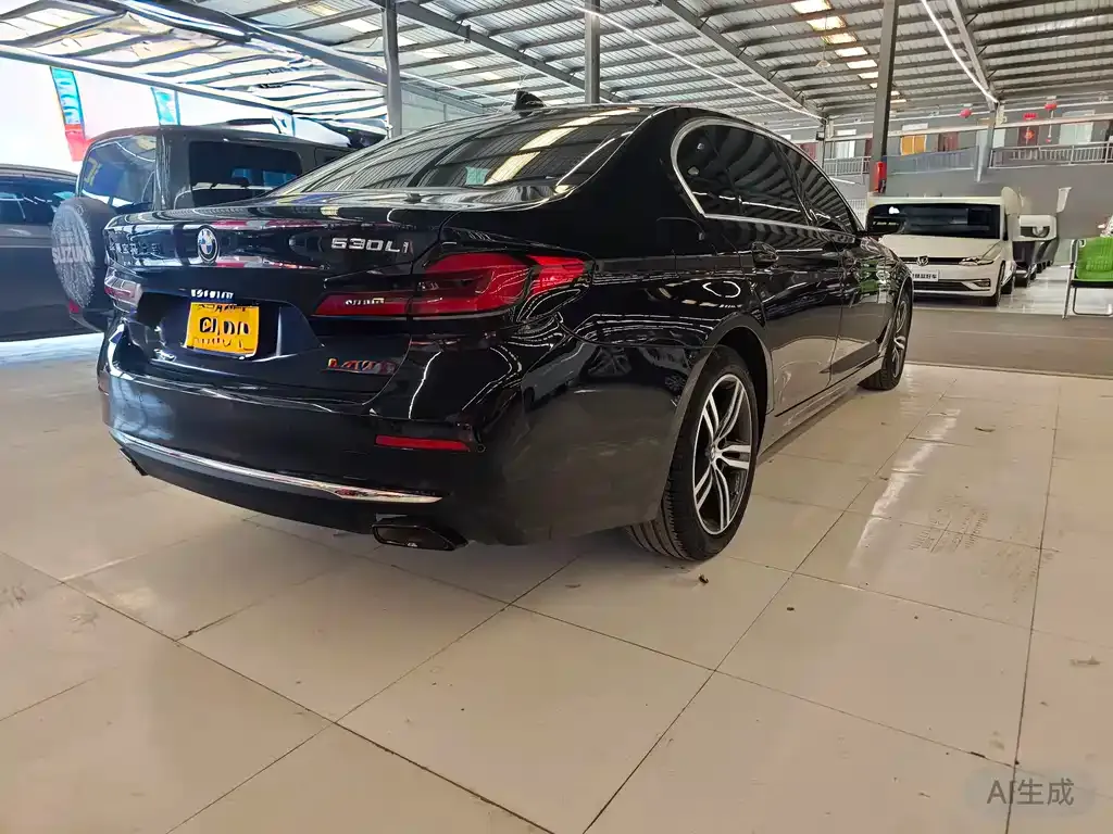 BMW 5 Series 2023 из CN, фото 9