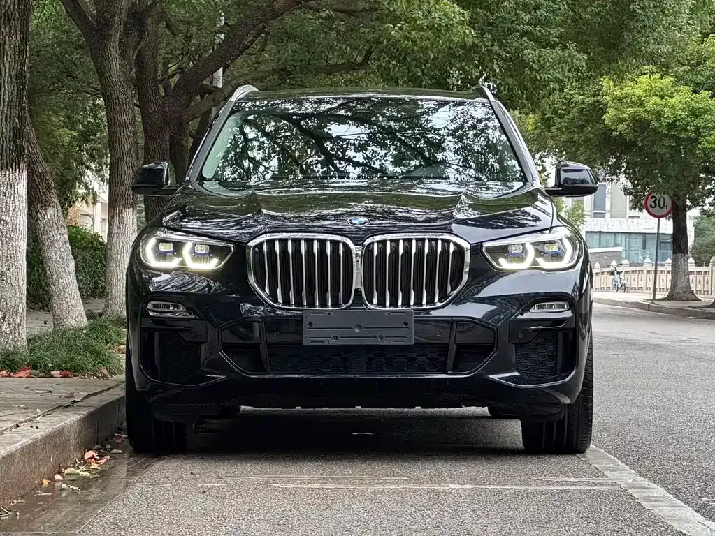 BMW X5 (Import) — фото 2