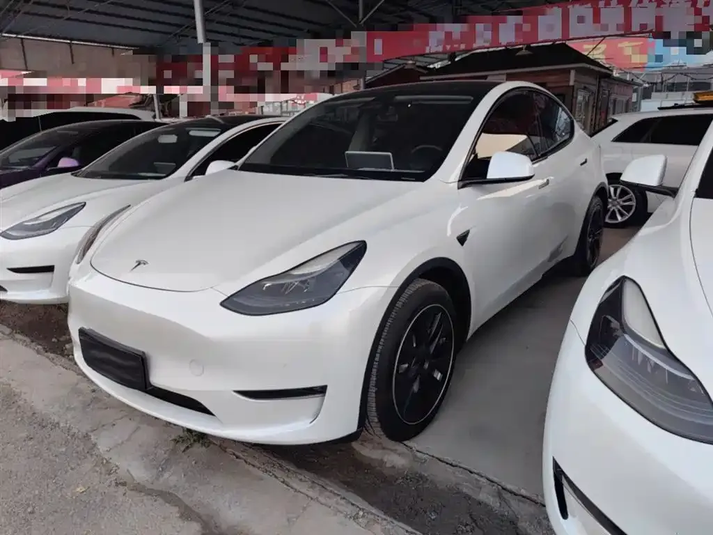 Tesla Model Y — фото 1
