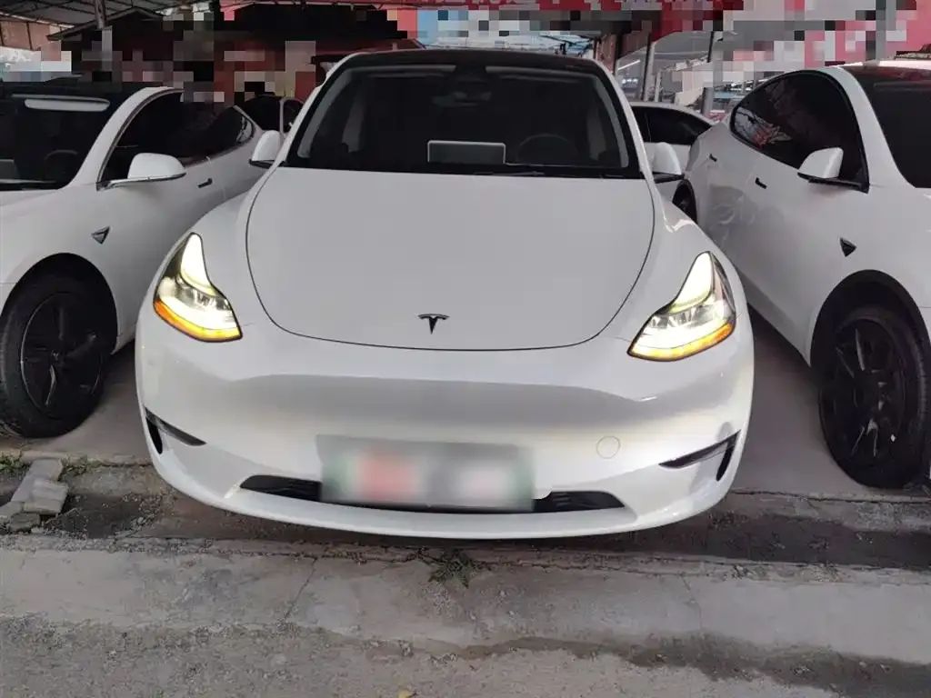 Tesla Model Y — фото 3