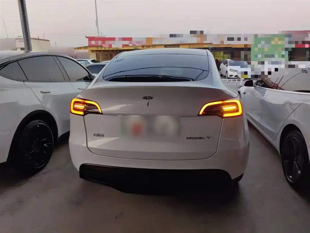 Tesla Model Y — фото 6