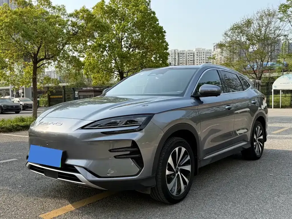 BYD PLUS New Energy — фото 1