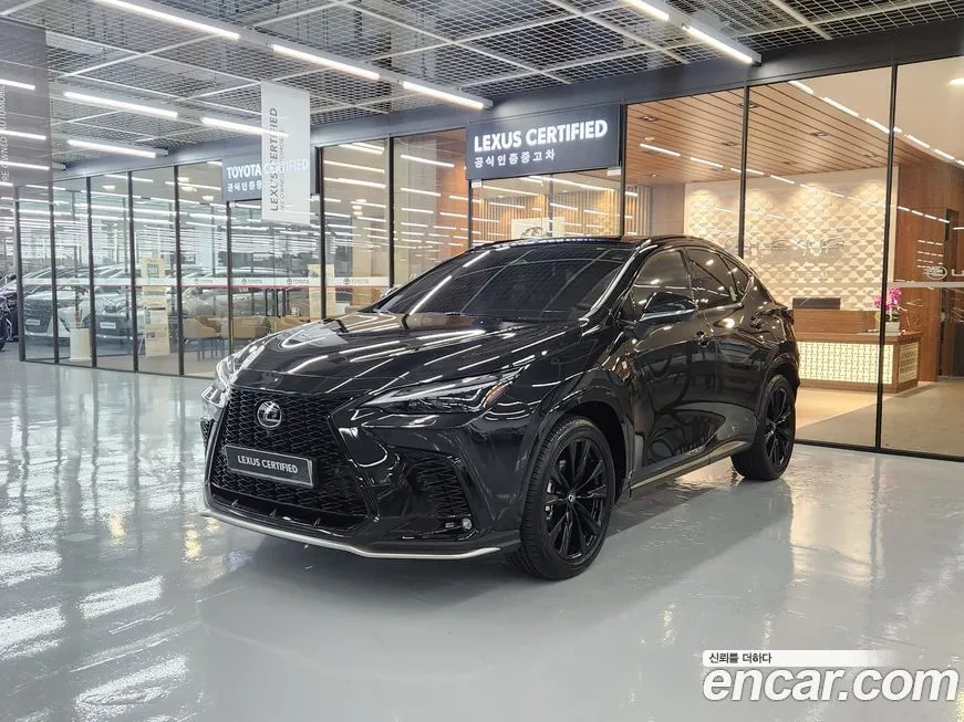 Lexus NX 2025 из KR, фото 1