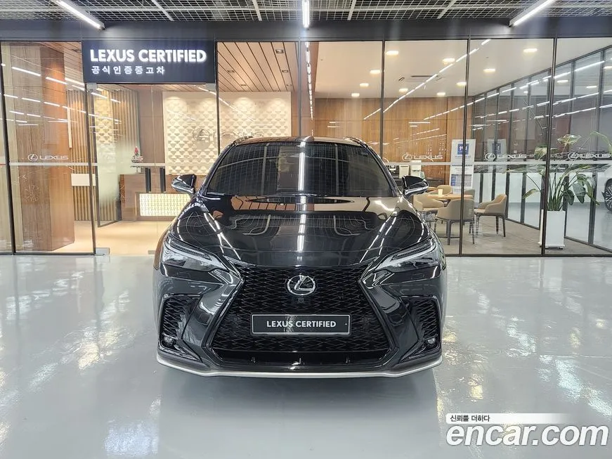 Lexus NX 2025 из KR, фото 3