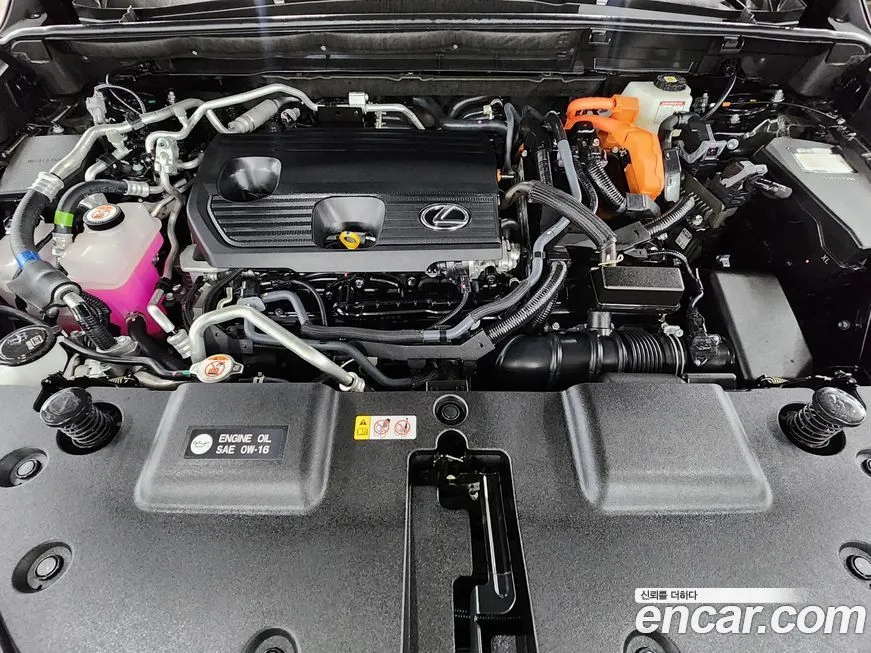 Lexus NX 2025 из KR, фото 6