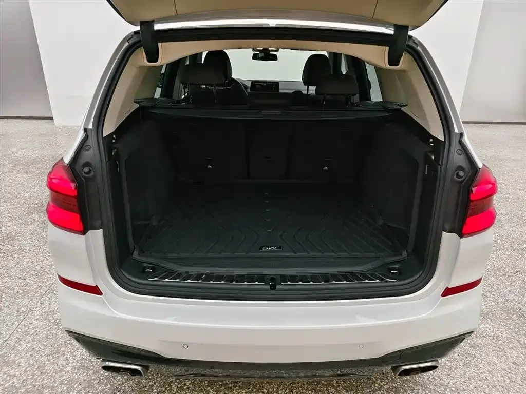 BMW X3 2021 из CN, фото 6