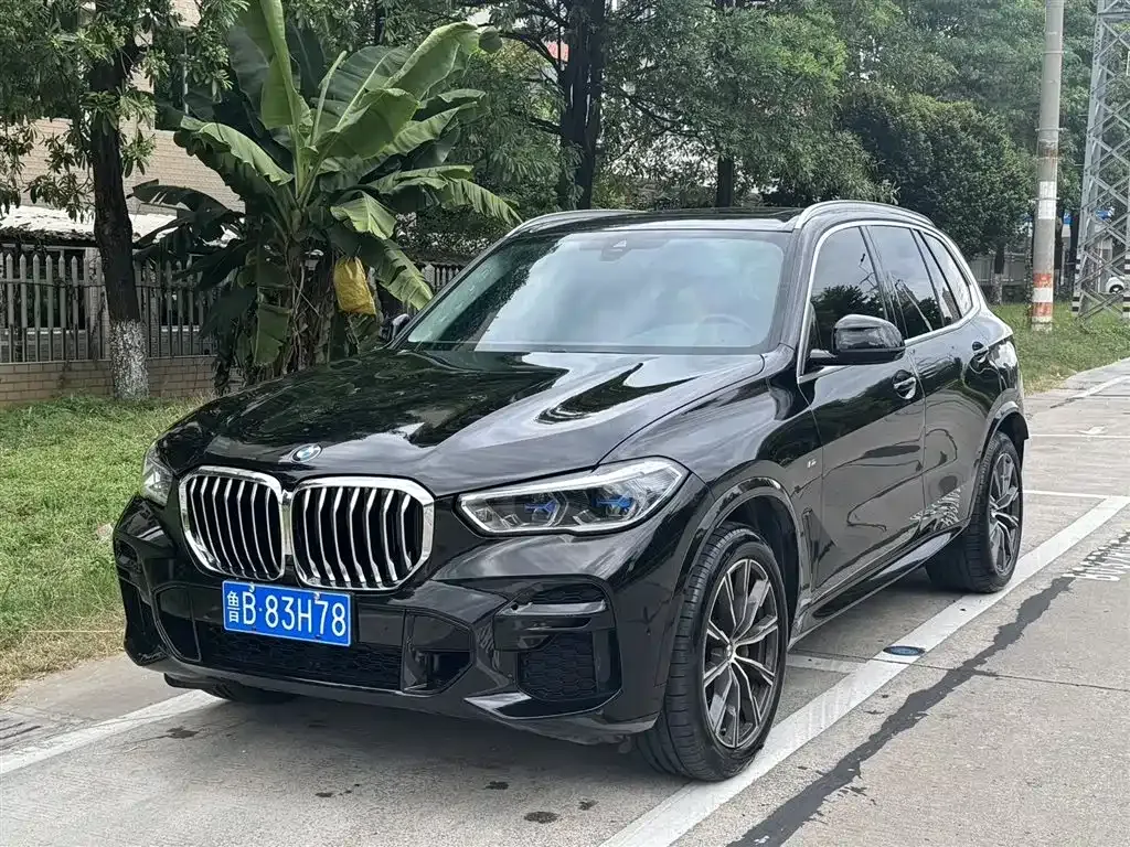 BMW X5 (Import) 2022 из CN, фото 1